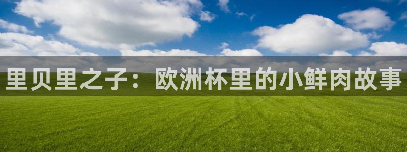 26世界杯：里贝里之子：欧洲杯里的小鲜肉故事