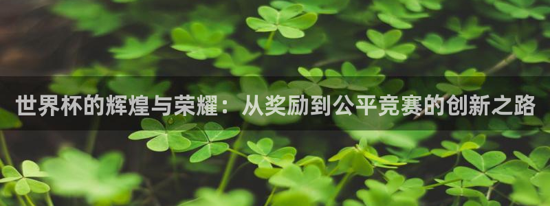 足球世界杯时间：世界杯的辉煌与荣耀：从奖励到公平竞赛的创新之路