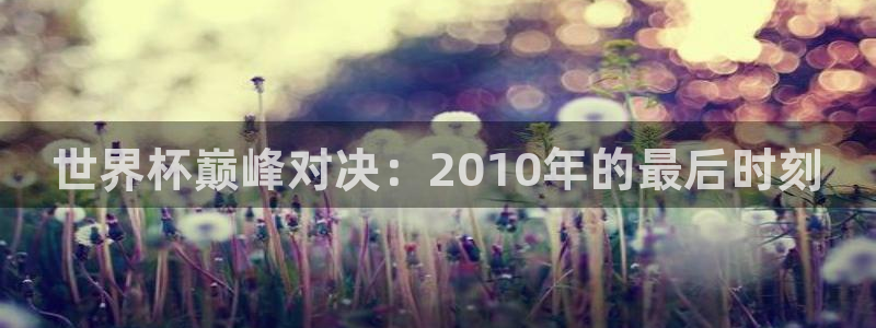 英足总杯直播：世界杯巅峰对决：2010年的最后时刻