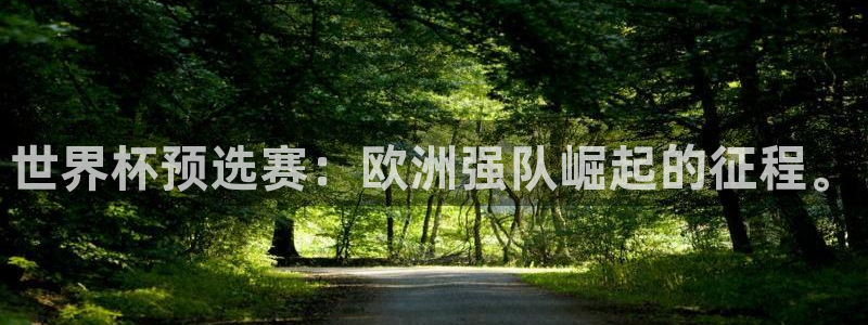 足球世界杯预选赛：世界杯预选赛：欧洲强队崛起的征程。