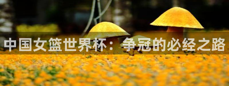 世界杯预选赛赛程表：中国女篮世界杯：争冠的必经之路