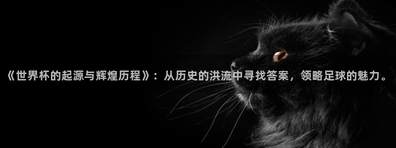 世界杯2026赛程表：《世界杯的起源与辉煌历程》：从历史的洪流中寻找答案，领略足球的魅力。