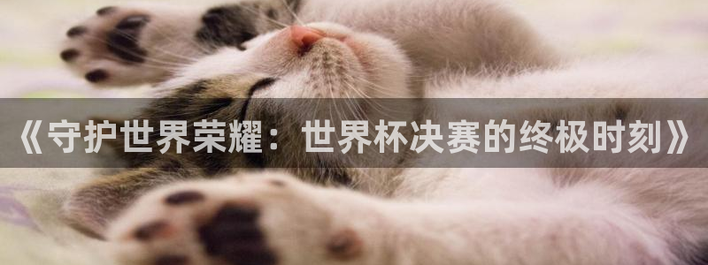 2026世界杯买球：《守护世界荣耀：世界杯决赛的终极时刻》