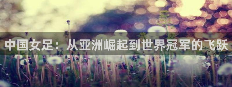 世界杯足球2026：中国女足：从亚洲崛起到世界冠军的飞跃