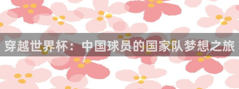 世界杯足球赛2026：穿越世界杯：中国球员的国家队梦想之旅