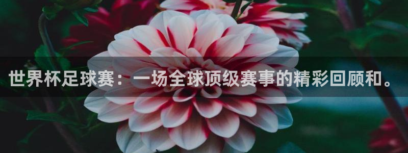 2026世界杯德国队阵容：世界杯足球赛：一场全球顶级赛事的精彩回顾和。