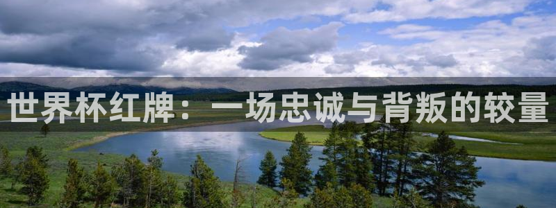 2026年男足世界杯：世界杯红牌：一场忠诚与背叛的较量