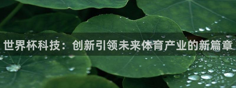 2026世预赛赛程表：世界杯科技：创新引领未来体育产业的新篇章
