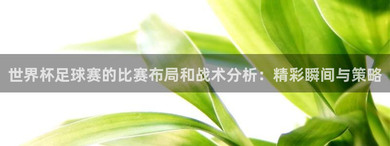2026 世界杯：世界杯足球赛的比赛布局和战术分析：精彩瞬间与策略