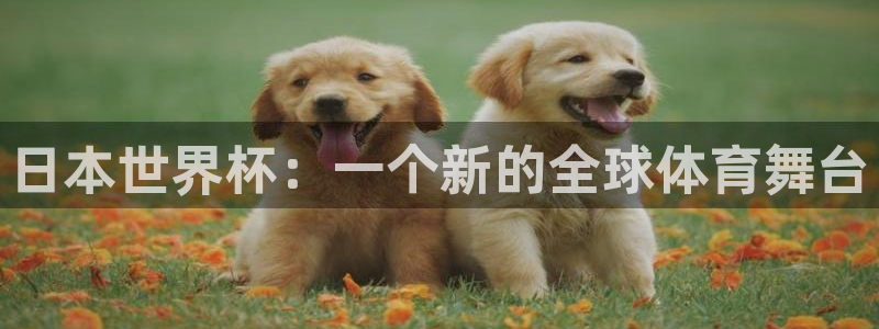 世界杯足球2026：日本世界杯：一个新的全球体育舞台