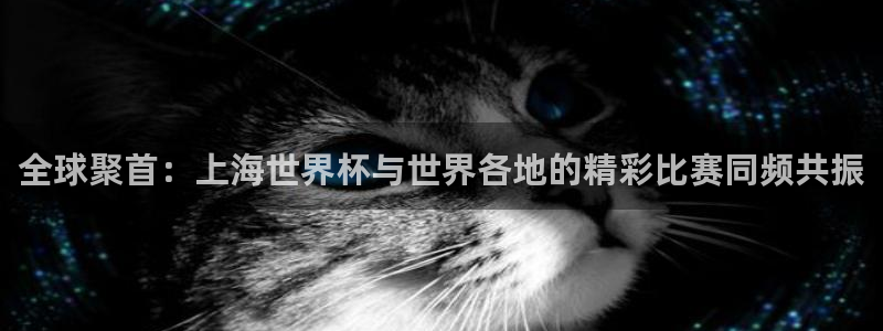 世界杯预选赛亚洲区赛程：全球聚首：上海世界杯与世界各地的精彩比赛同频共振